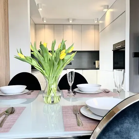 Bianco Classic W Centrum Miasta. Apartment Czestochowa